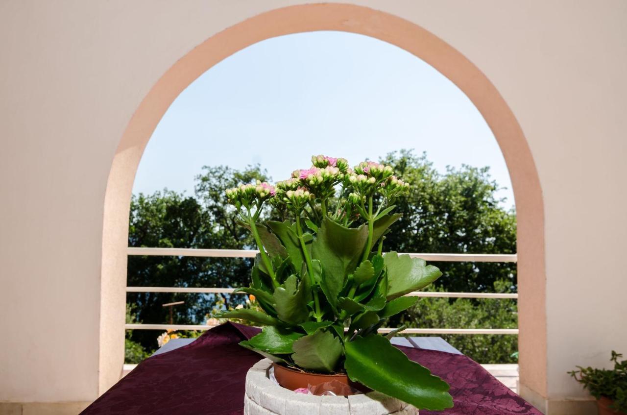 Villa Barbara 믈리니 외부 사진